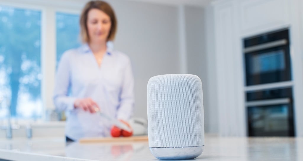 Do Smart Speakers Compromise Your Privacy?