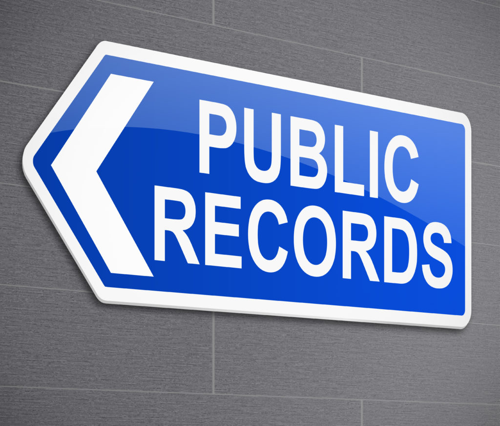 what public records can you find online?